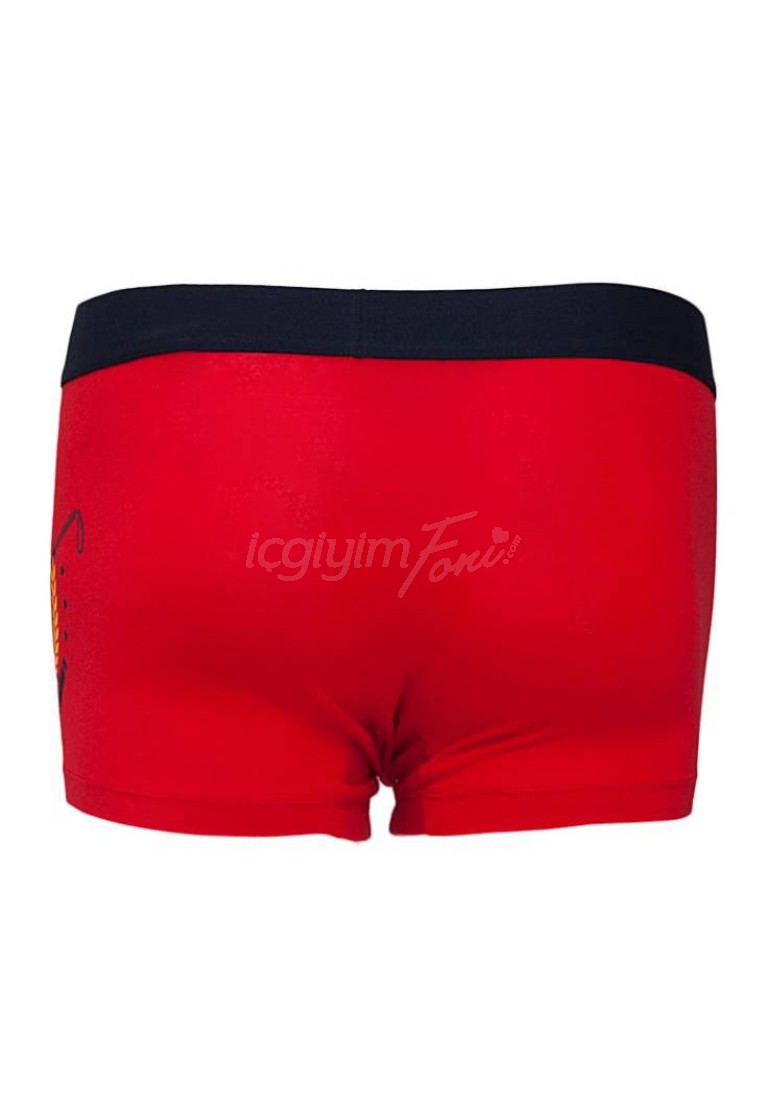 www.icgiyimfoni.com-US Polo-USPOLO-80060-31