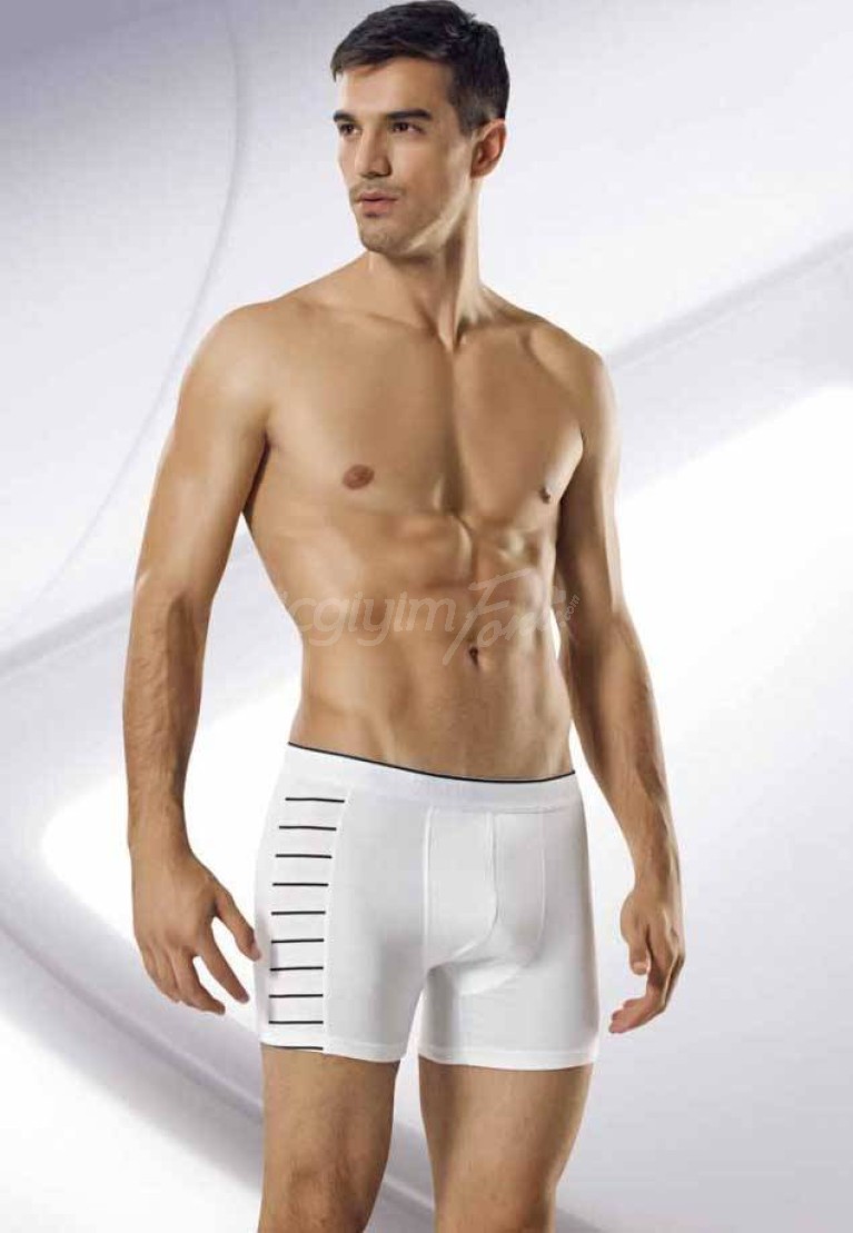 Namaldi Erkek Boxer 155