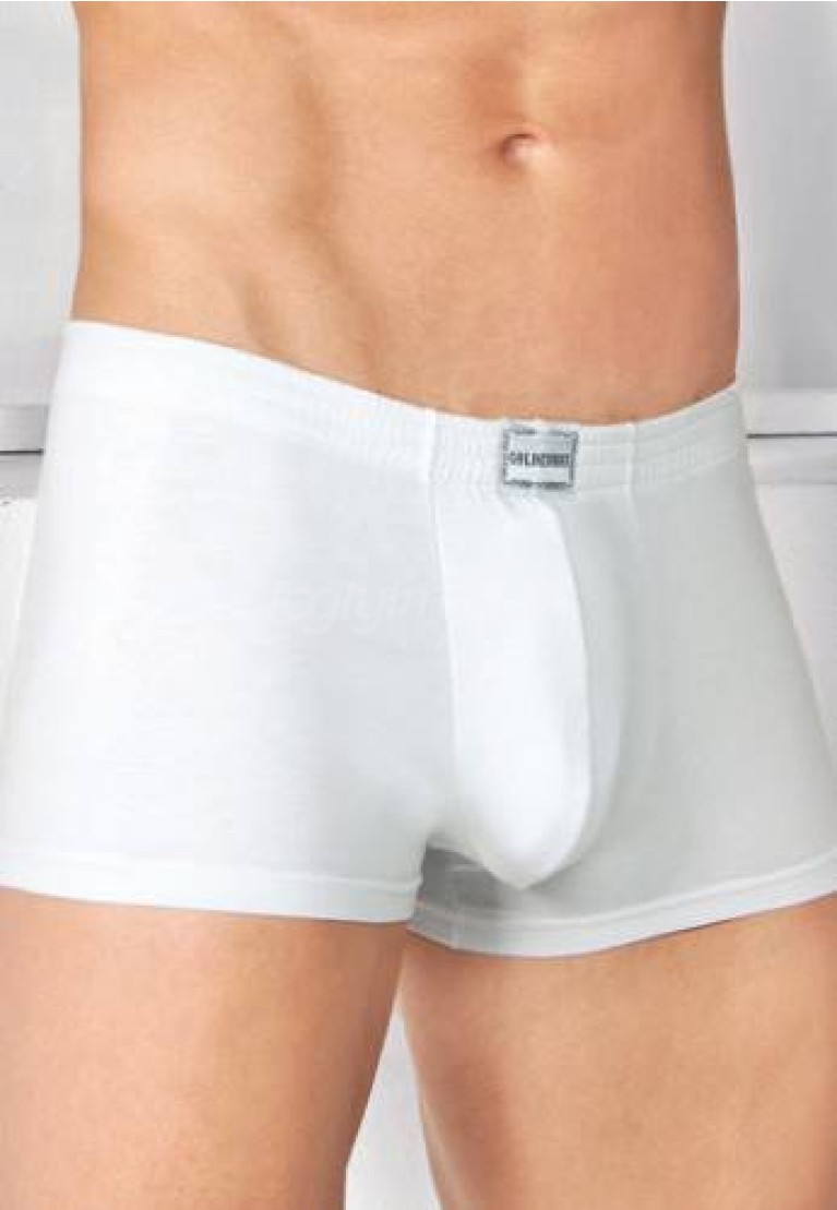 Goldenbay Erkek Boxer 1530