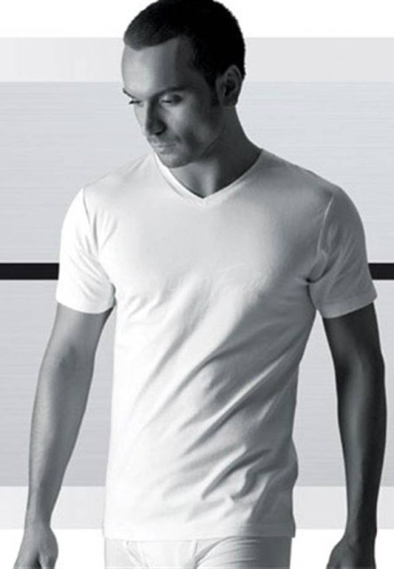 Penye Mood Erkek V Yaka T-Shirt 3038