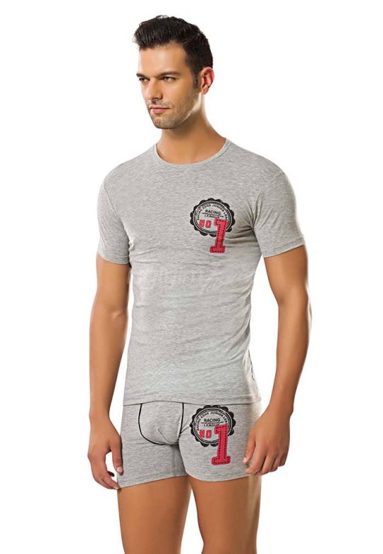 Erdem Erkek T-Shirt 1131