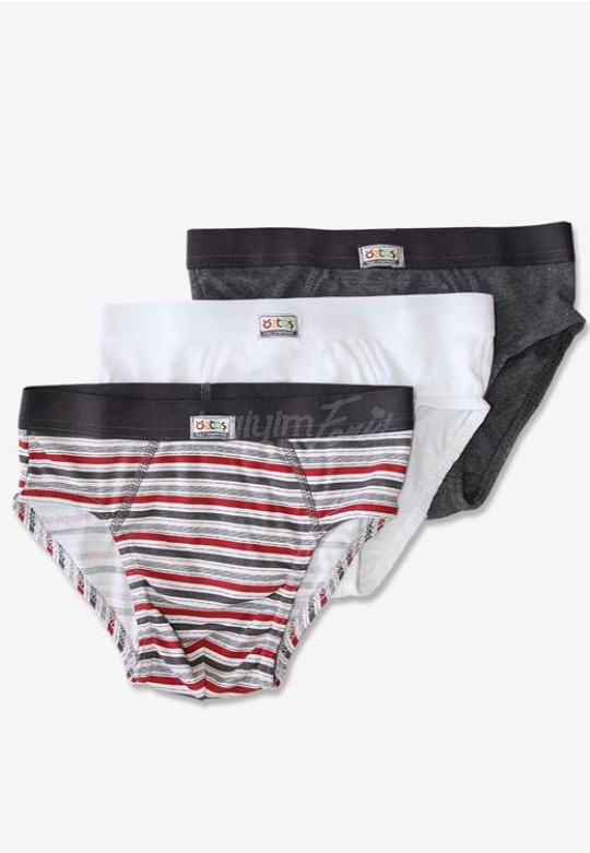 Öztaş Erkek Çocuk Çizgili Slip 3 Lü Paket F-3108