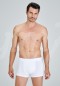 Kom Colin 2 Li Boxer 44BX10131