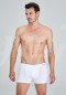 Kom Davide Boxer 44BX30011