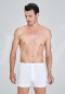 Kom Adrian 2 Li Boxer 44BX10141