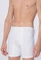 Anıl Erkek Boxer 0017