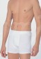 Anıl Erkek Boxer 0019