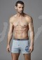 Dagi Penye Baskılı Boxer  D1210