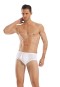 Erdem Erkek Slip 1320