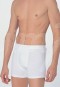 Anıl Erkek Boxer 0019