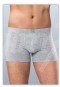 Anıt Boxer Anıt 1271