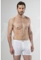 Cacharel Boxer  1204