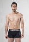 Cacharel Boxer  1317/LACİVERT