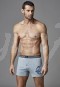 Dagi Penye Baskılı Boxer  D1210