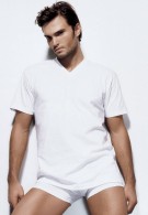 Çift Kaplan 6 Adet V Yaka Erkek T-Shirt 945