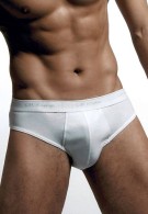 Çift Kaplan 6 Adet Ribana Erkek Slip 870