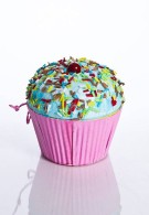 www.icgiyimfoni.com-Bebek-BEBEK-LTZ-284-PEMBE-01